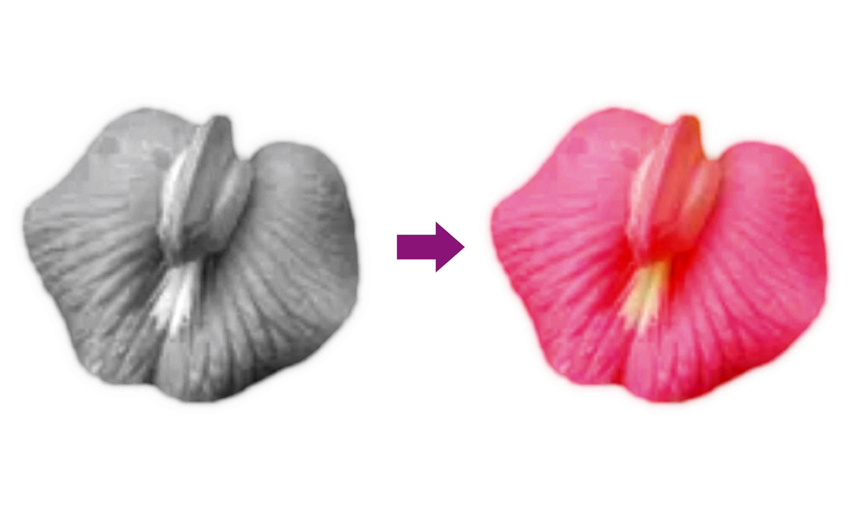 術前後イメージ（装飾）